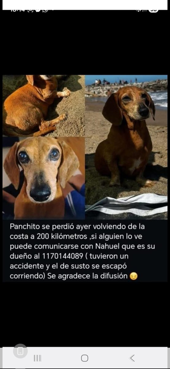 Maria Ines (@mariain77662119) on Twitter photo 