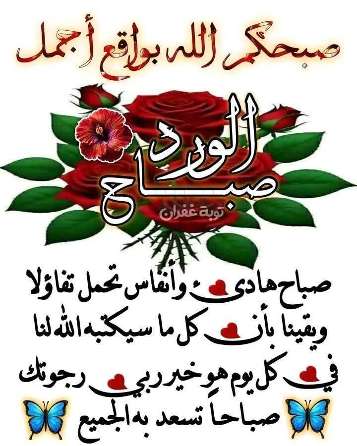 LDhbyan12678's tweet photo. @ammm111234 السلام عليكم ورحمة الله وبركاته https://t.co/E4ZC7NDzFE