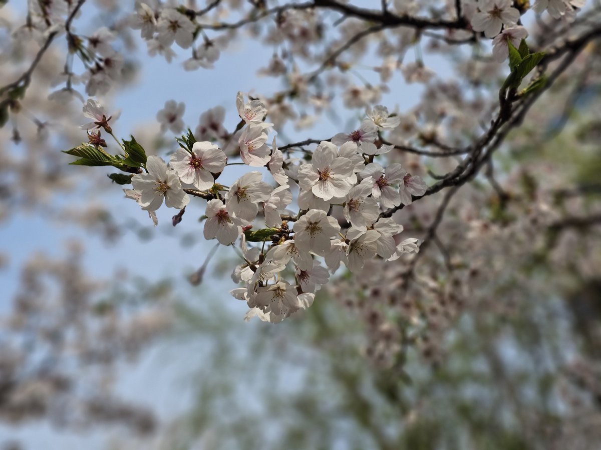 버핏샘 (@soyoja) / Posts / X