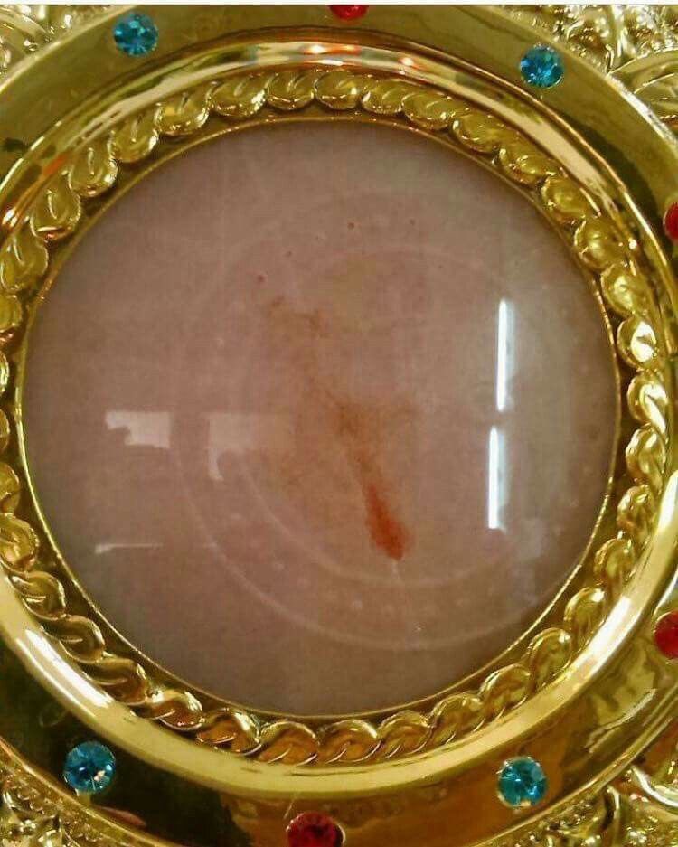 𝚕𝚒𝚝𝚝𝚕𝚎 𝚘𝚗𝚎 ♱🇻🇦 tweet media
