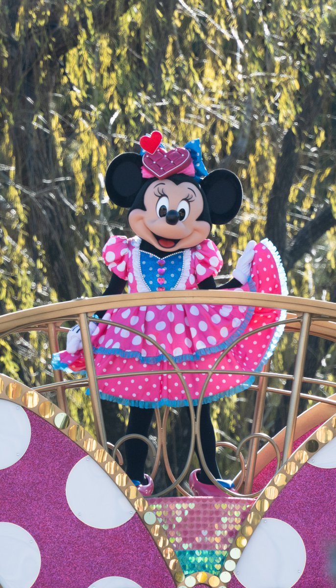 ミニーちゃんかわいい😍 #z50ii