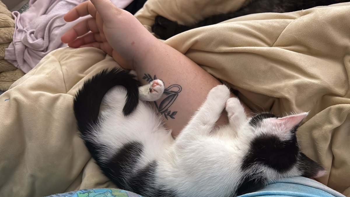 I love my mousey