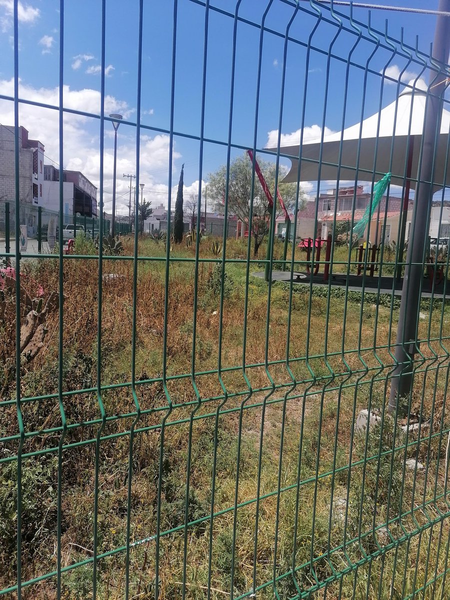 Nohemi604893945's tweet photo. Esta es la realidad: áreas verdes en abandono total.
La respuesta de la @PachucaGob fue que los " vecinos debemos organizarnos" para dar mantenimiento.
Peor aún: una vecina cuida parte del camellón por su cuenta, sin apoyo, y ha recibido amenazas por proteger un espacio público. https://t.co/HDhZ8aLrLG