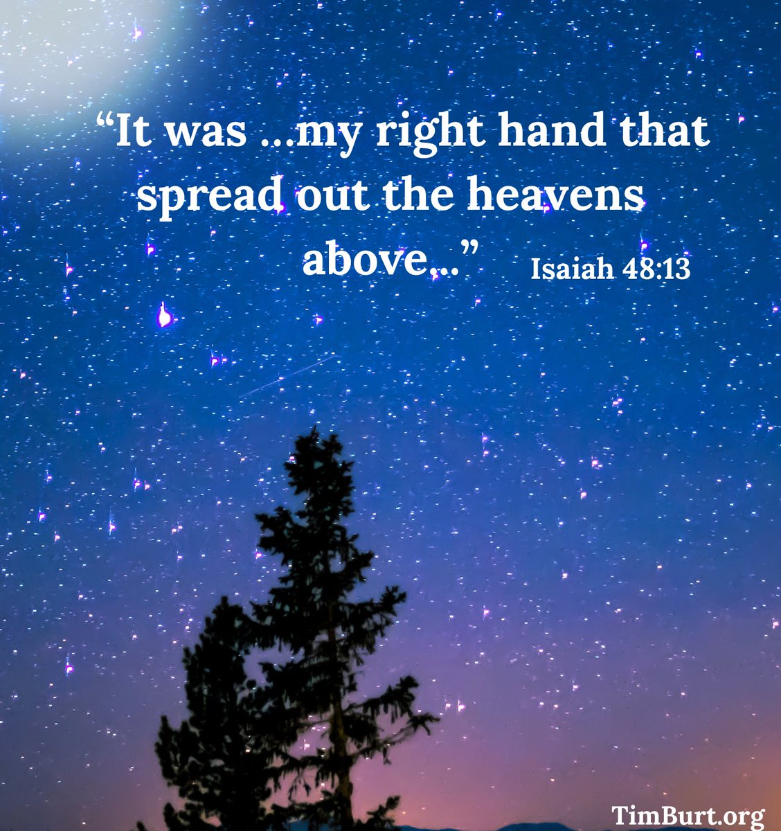 Timothy Burt (@timburt) on Twitter photo 