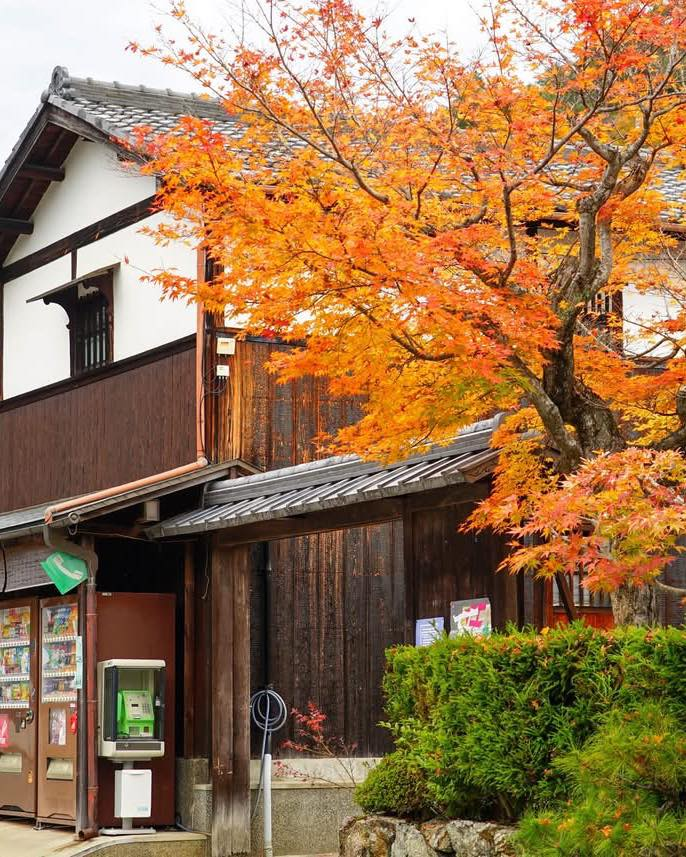 Go!Graph Japan tweet media
