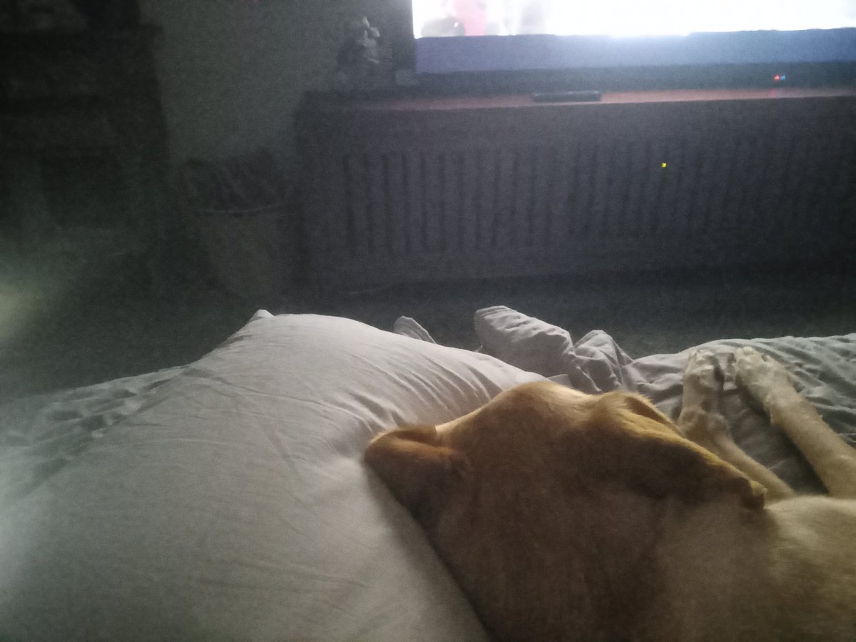 thmenom's tweet image. a bonita gosta do travesseiro dela e dorme de conchinha