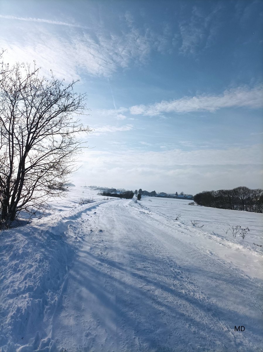 MartinaDvorsk2's tweet image. 