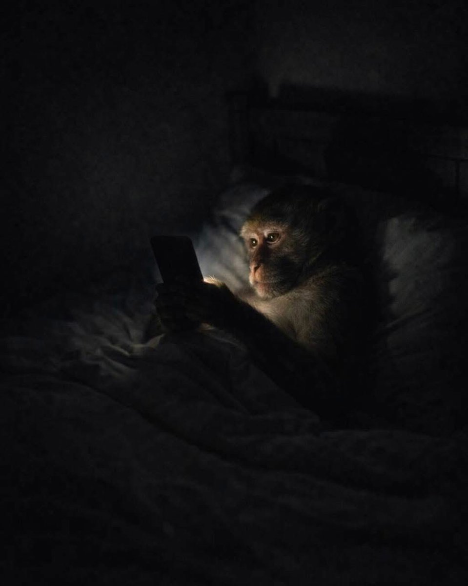 Callunc's tweet image. “Imma go to sleep early tonight”

Also me right now