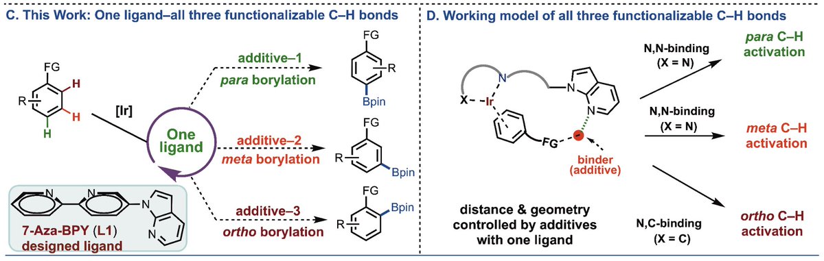 Hearty congratulations to <a href="/Jaitri_Das/">Jaitri Das</a>, <a href="/MdEmdad_/">Md Emdadul Hoque</a>, <a href="/mirjahassan/">Mirja Md Mahamudul Hassan</a>, <a href="/saikat_orgchm/">Saikat Guria</a>, <a href="/SayanDey97/">Sayan Dey</a> members of <a href="/ChattopadhyayL1/">Chattopadhyay Group</a> group from <a href="/IISERPune/">IISER Pune</a> for their extremely hard work, published in <a href="/NatureComms/">Nature Communications</a>. 
nature.com/articles/s4146…