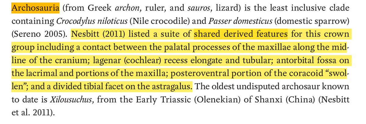 irl_db's tweet photo. @anonymesoul117 @Visceral9000 Physical appearance=/=physical traits, in many cases morphological characters still carry a phylogenetic signal, whether or not they contribute to our general perceptual grasp https://t.co/JHq2wE1DAE