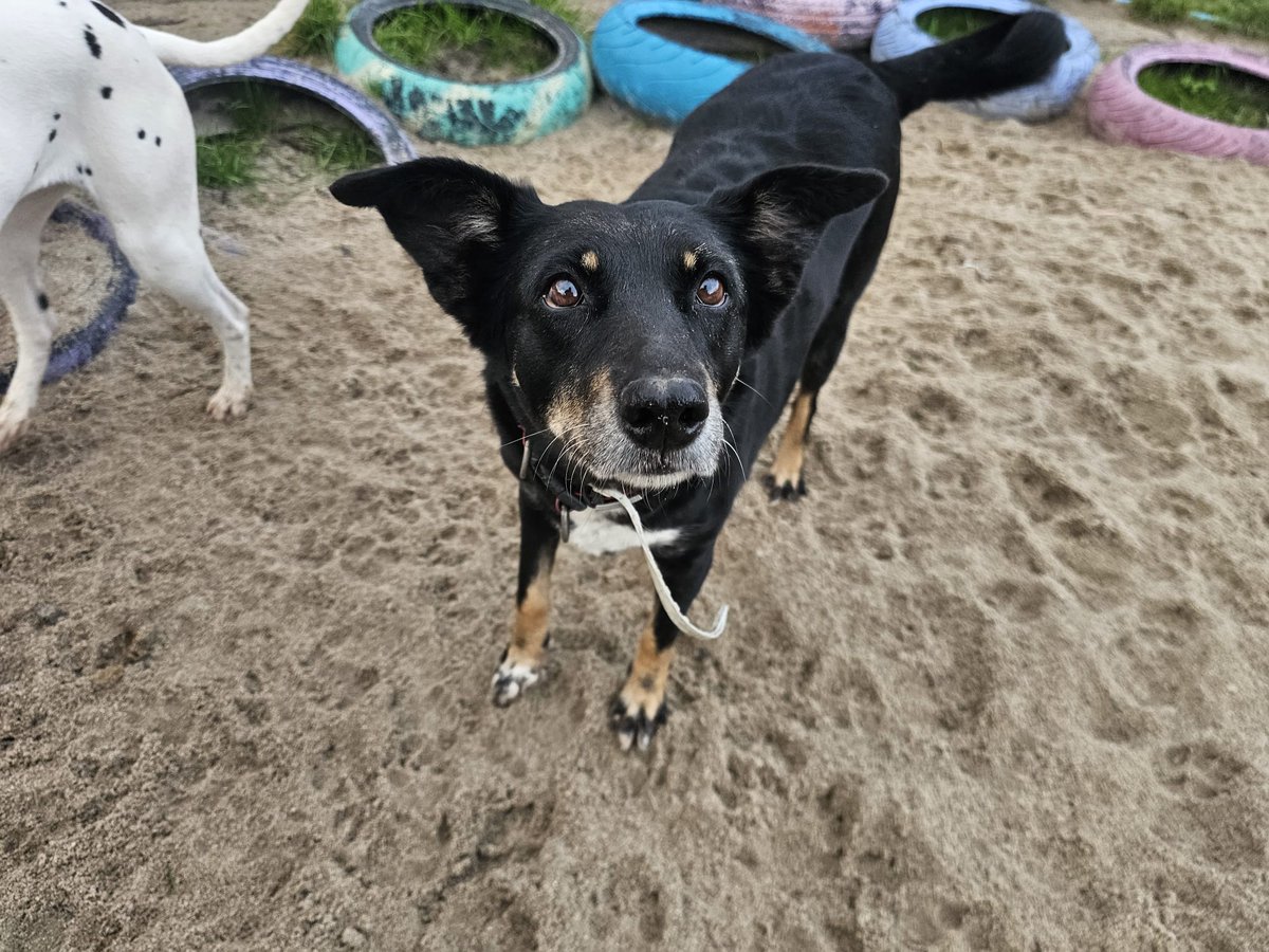 ᑭᏞᗩᑎᗴᎢᗩ Ꮓᗩᖇᑭᗩ tweet media