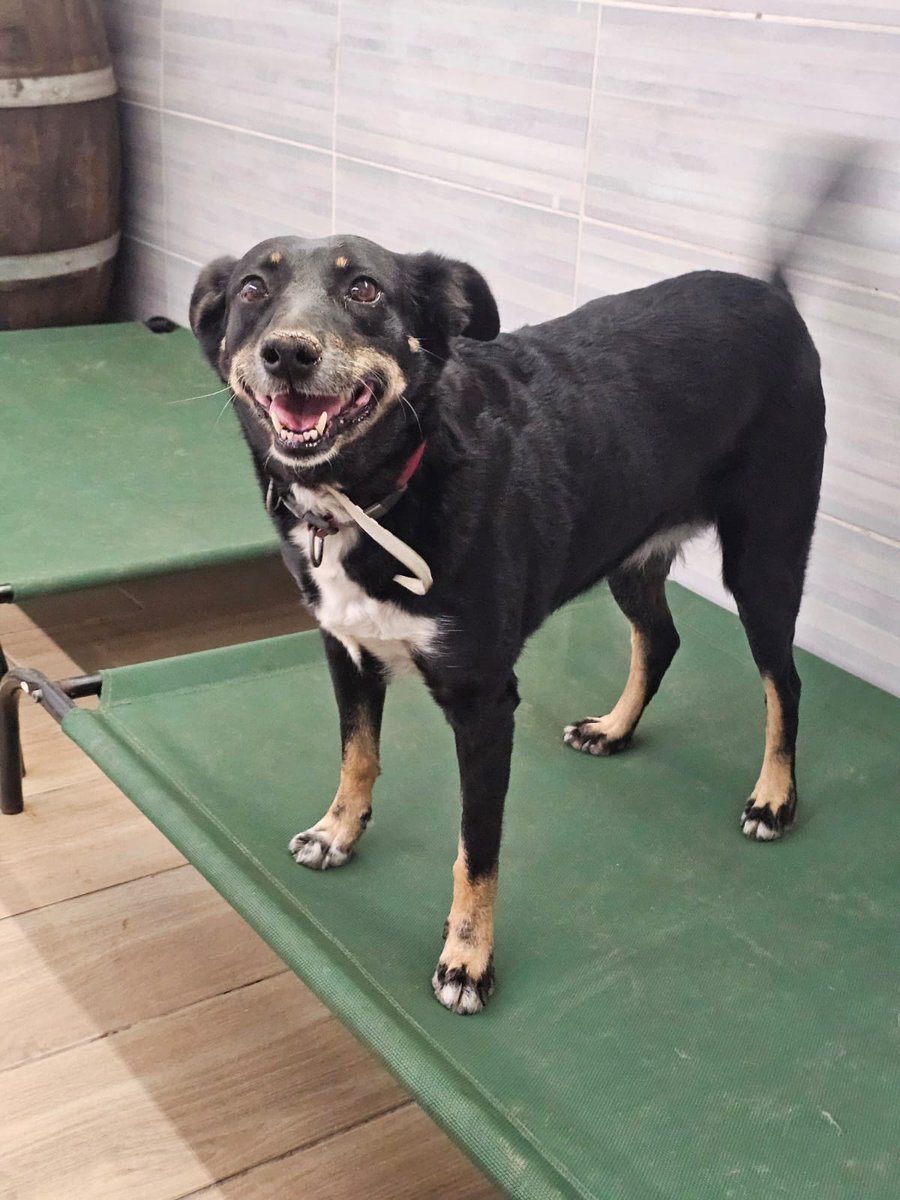 ᑭᏞᗩᑎᗴᎢᗩ Ꮓᗩᖇᑭᗩ tweet media