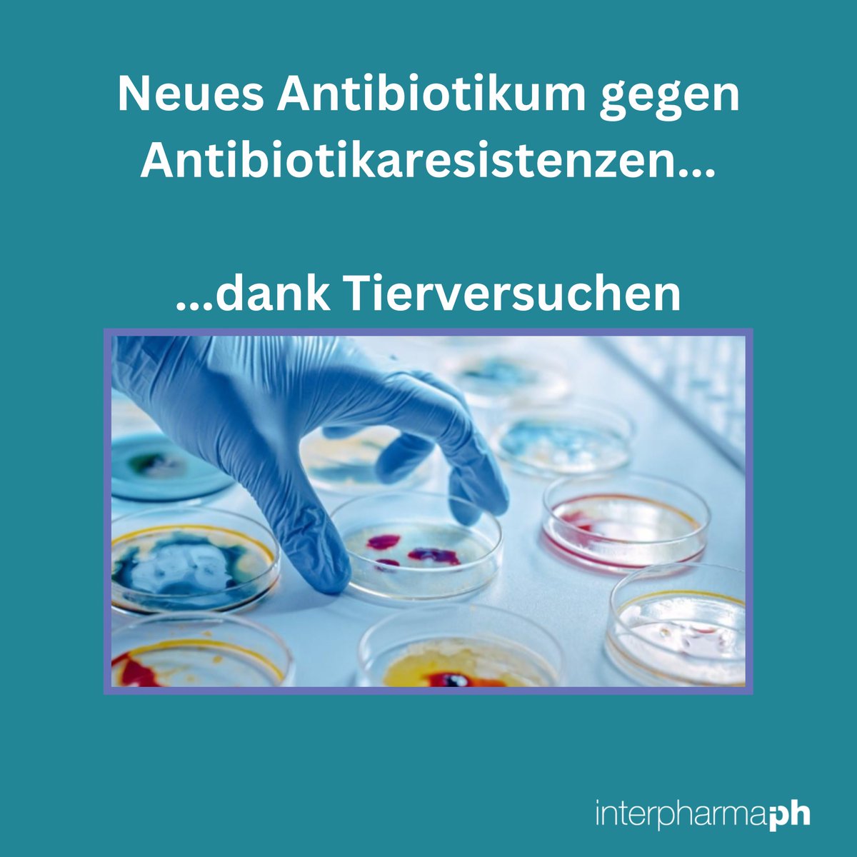 Interpharma tweet media