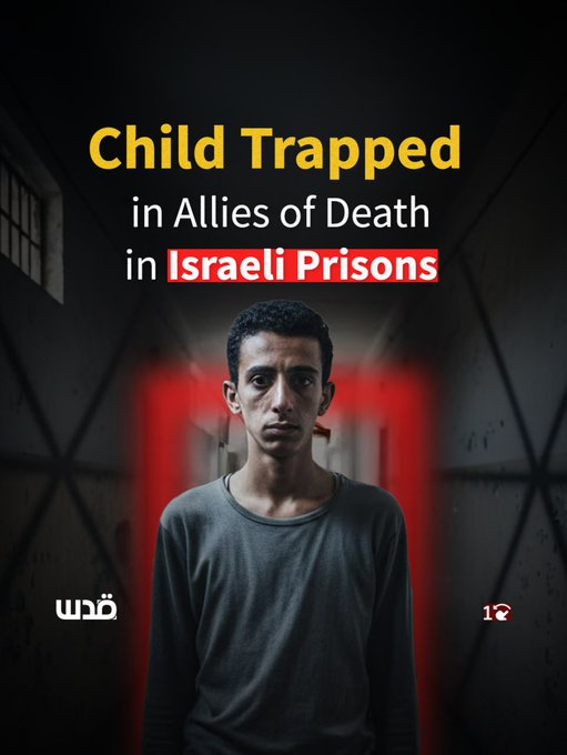 palinfoen's tweet image. Child Basheer, abducted during a raid in Al-Bureij in Gaza, endured systematic torture in multiple Israeli detention centers, and witnessed the deaths of fellow detainees due to neglect.

#GazaGenocide
#HappyNewYear
#HappyNewYear2025
#gazacrimes
#europe #Gaza #Palestine