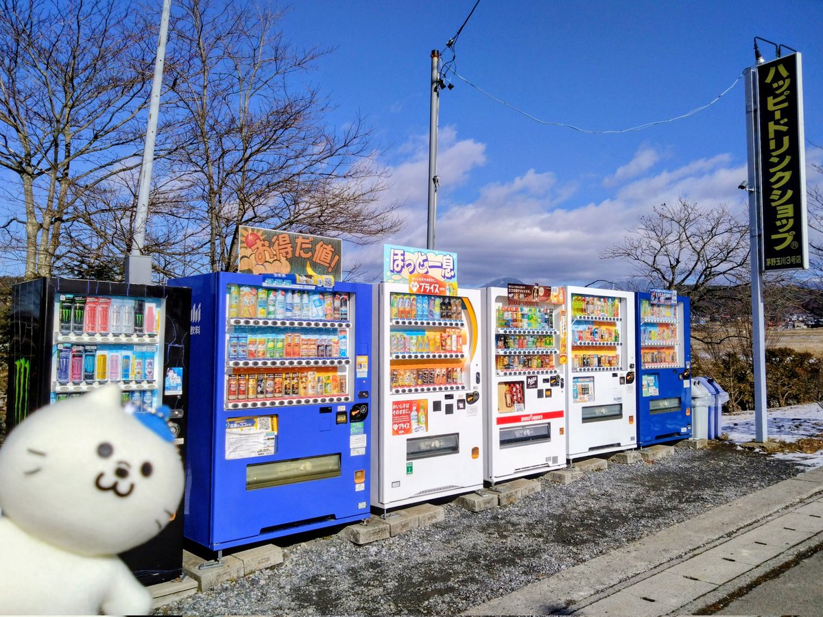 withDRINK のにゃんベンです！ 今日はお友達のはぴにゃんがいる長野の