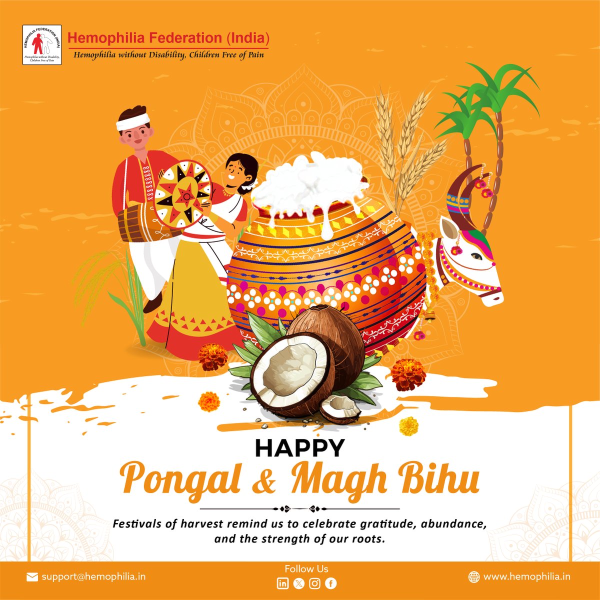 Hemophilia Federation (India) tweet media