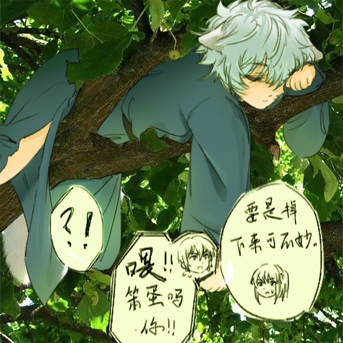 luoyeloje's tweet image. #坂田銀時    2025.05.04    meow~o( =∩ω∩= )m