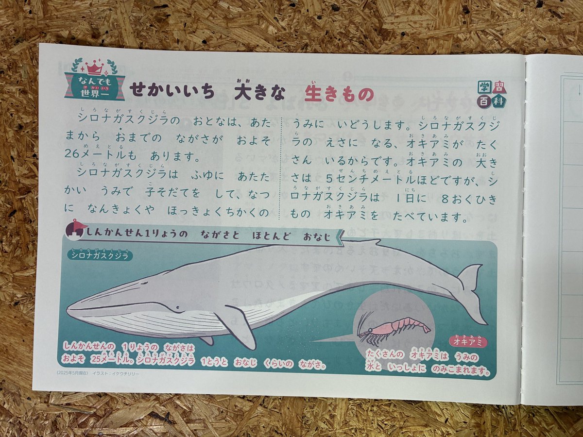 お仕事情報
#イラスト
ちょっと　#ジャポニカ学習帳　シリーズつづけます！
#ショウワノート
#小学館監修百科シリーズ
#さんすう