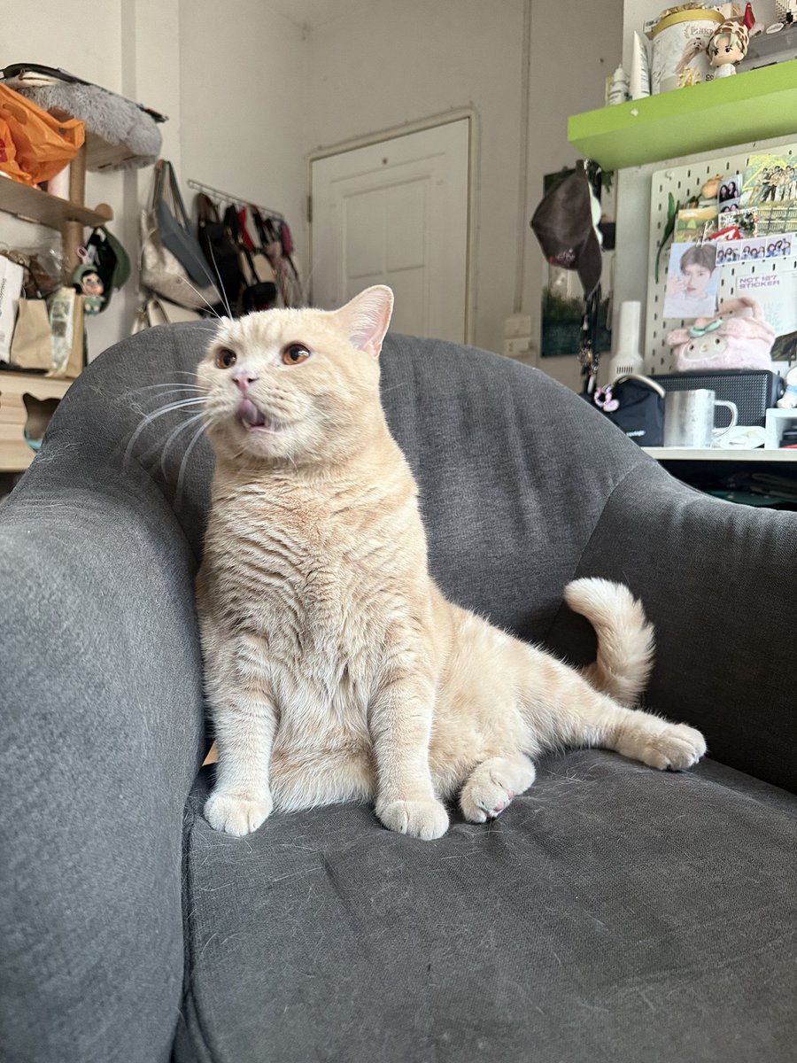 pieceofthecloud's tweet image. ตื่นแล้