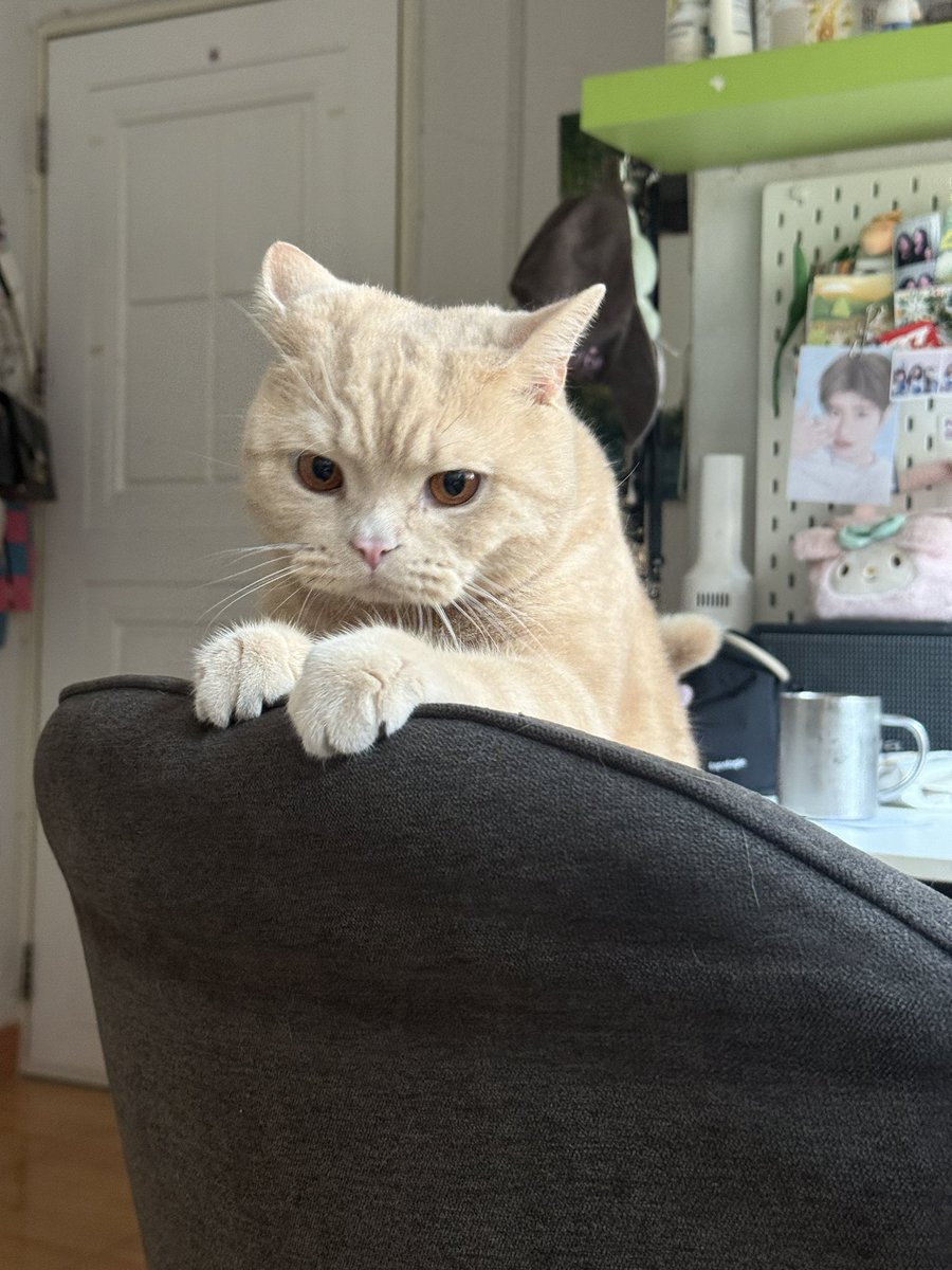 pieceofthecloud's tweet image. ตื่นแล้