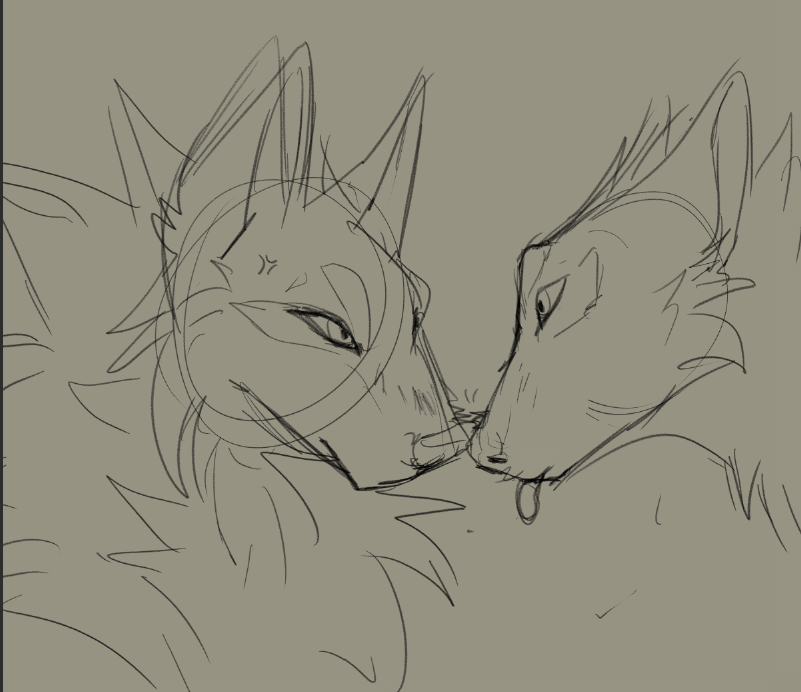 Arcane Cat tweet media