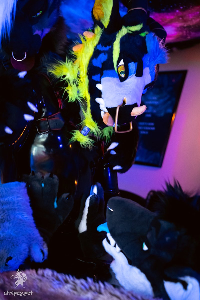 Kᚺᚱᛟᚾᛟᛊ 🍁 tweet media