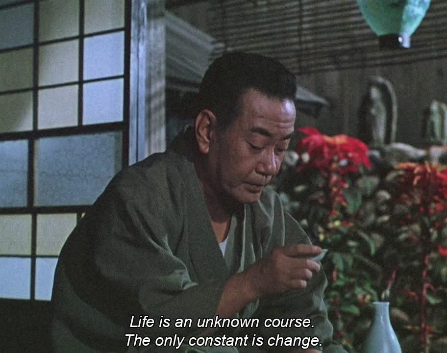 Prolific💡 tweet media