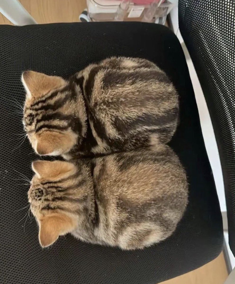 チョコデニッシュみたい😊