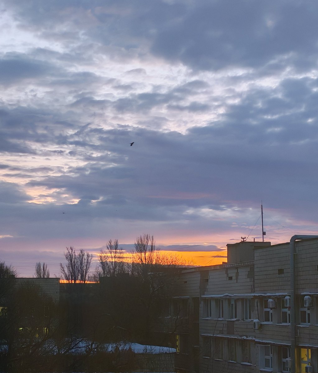 InnaEdgn's tweet image. Утро ✨✨✨