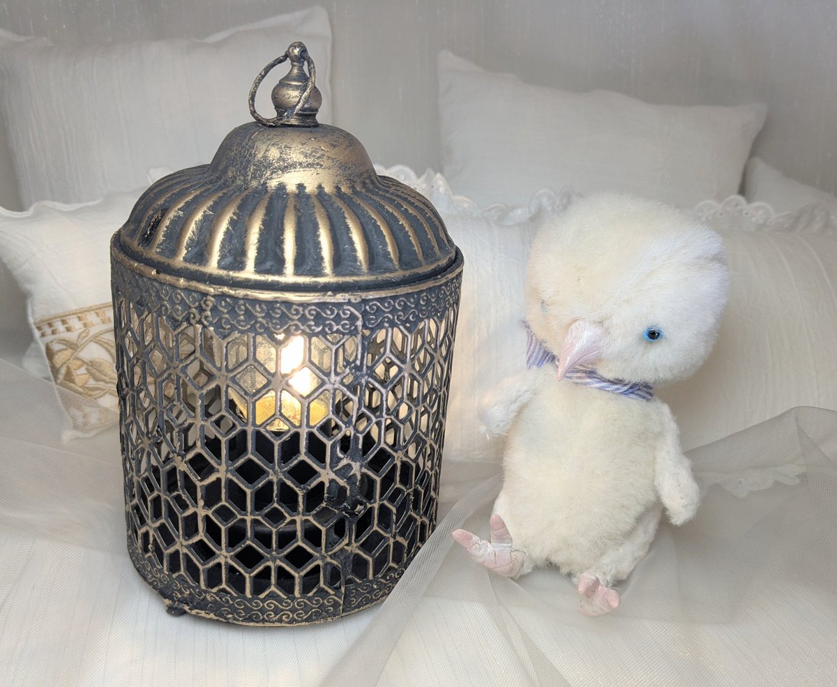 ぷしけ tweet media