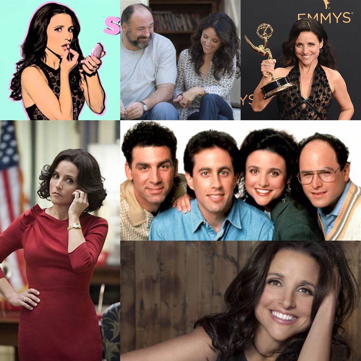 barebones984's tweet image. Happy Birthday Julia Louis Dreyfus! A great comedienne! SNL, Seinfeld, New Adventures of Old Christine, Veep. She always delivers! #JuliaLouisDreyfus