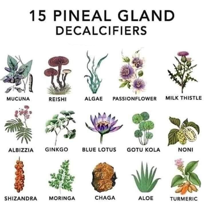 occultbot (@0ccultbot) on Twitter photo 