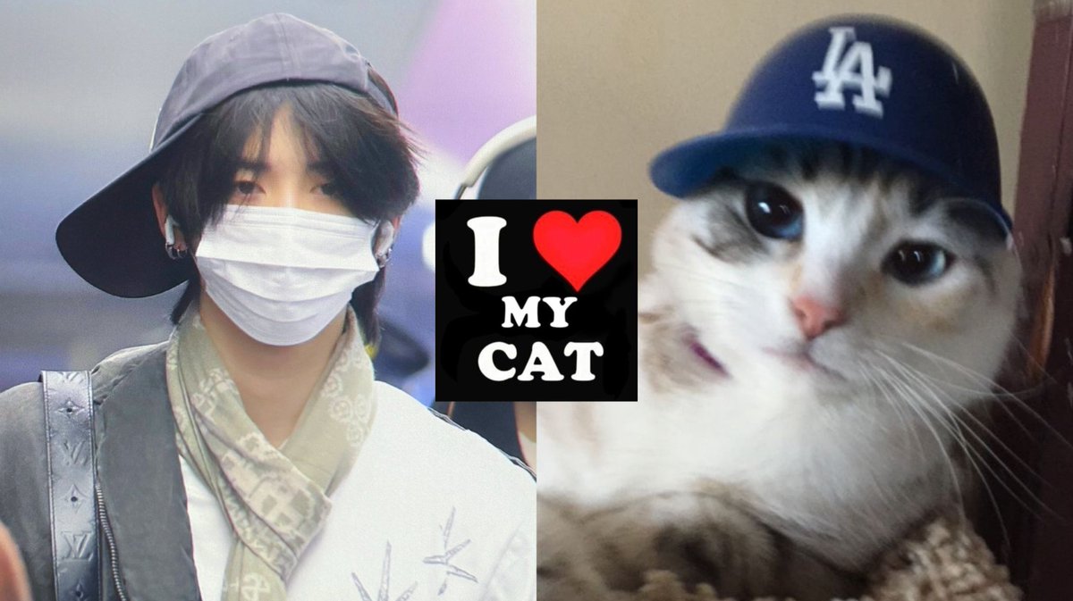 #태산 🐈‍⬛🧢♥️