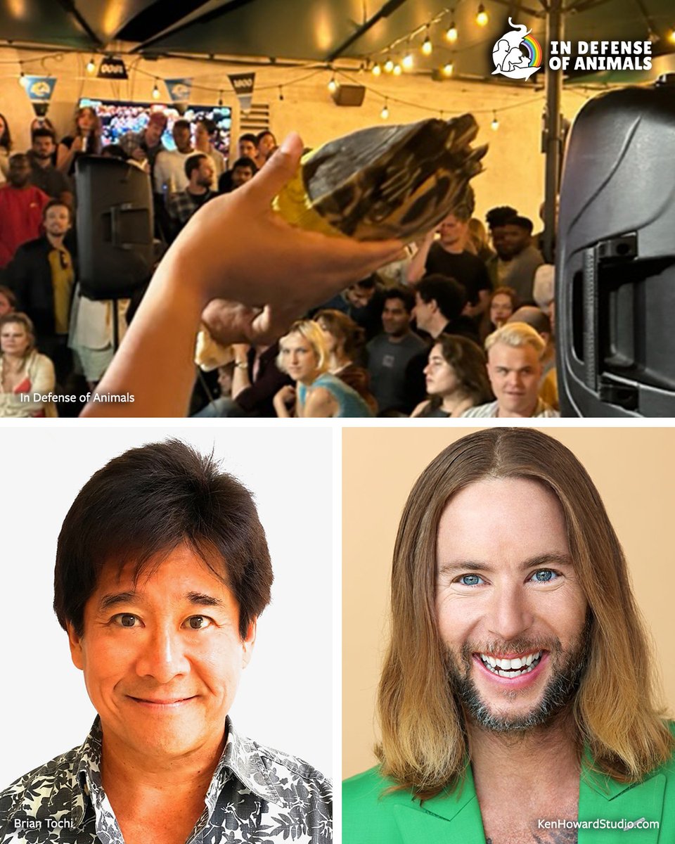IDAUSA's tweet photo. Turtles were forced into loud, crowded bars for decades. Brian Tochi and Greg Cipes spoke out against this cruelty. With Brennan’s Pub closed, the turtles are finally on a path to outdoor homes with space, sunlight, and proper care.
https://t.co/G1O4k5DW5q
Pls RT
#ProtectTurtles https://t.co/Gr6tHvz1PJ