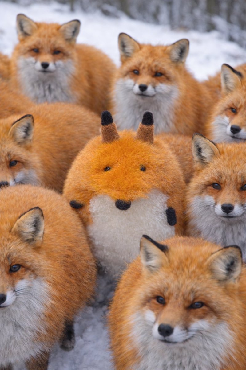 men0tuyu's tweet image. 