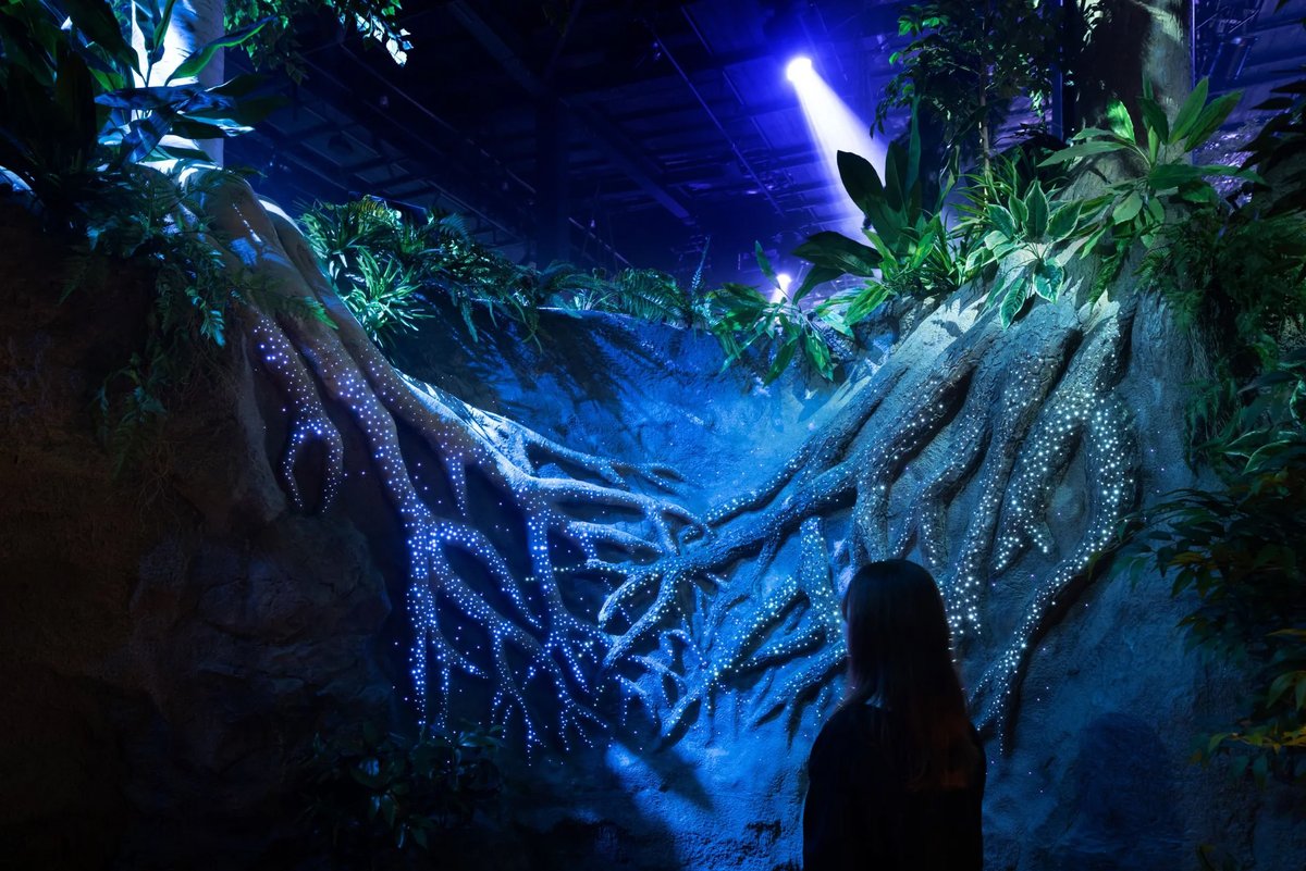 実績紹介】2025年日本国際博覧会 住友館 「UNKNOWN FOREST」を舞台と