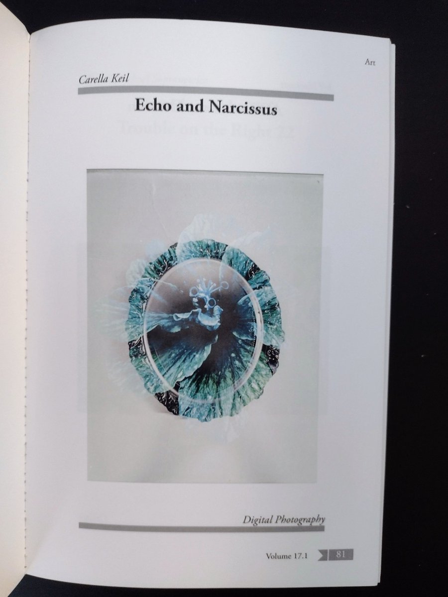 catalogofdream's tweet image. Echo and Narcissus | Carella Keil
Straylight Literary Arts Magazine 17.1
@StraylightMag 
#AbstractArt #FlowerPhotography #litjournal