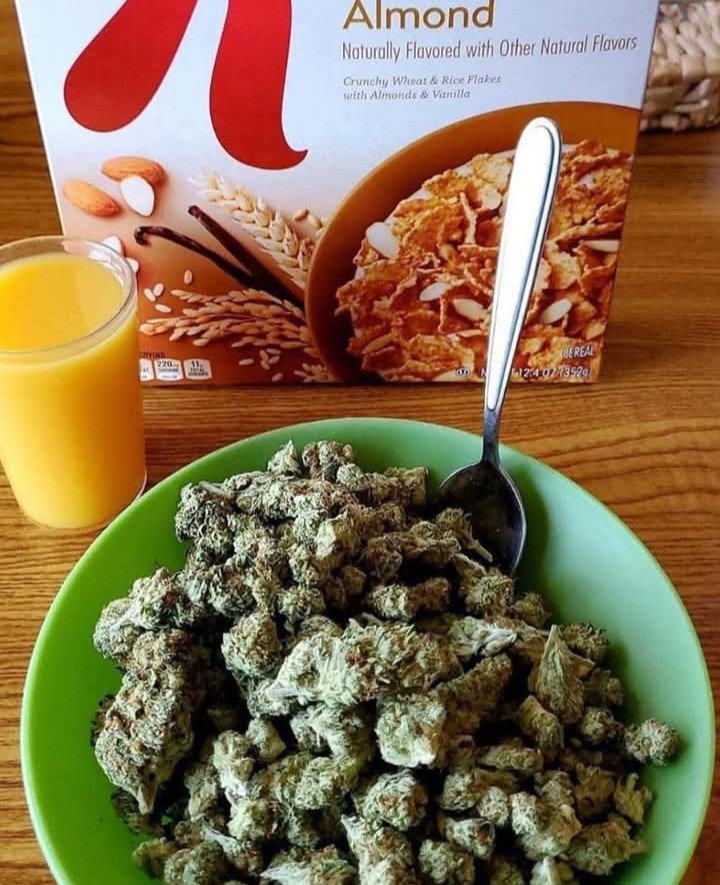 Artek Swaróg🌿💨🇵🇱 tweet media