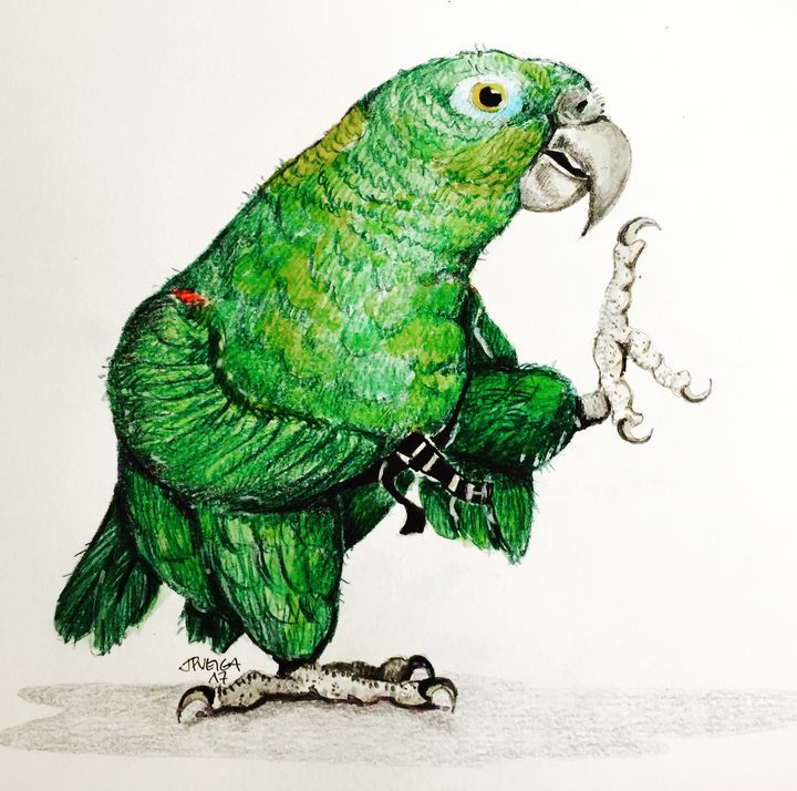 jpveiga3's tweet photo. Art of the Day! "Black belt parrot". Buy at: https://t.co/zFMF0Ec0da https://t.co/KzjygrIsEY