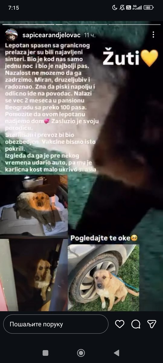 Kristal Met Dejmon (@sanjazivi) on Twitter photo 