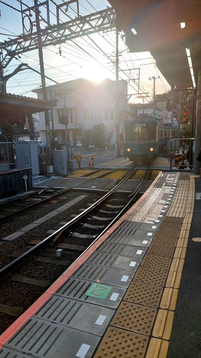 Biohazard_fox 🔜 FurDu tweet media