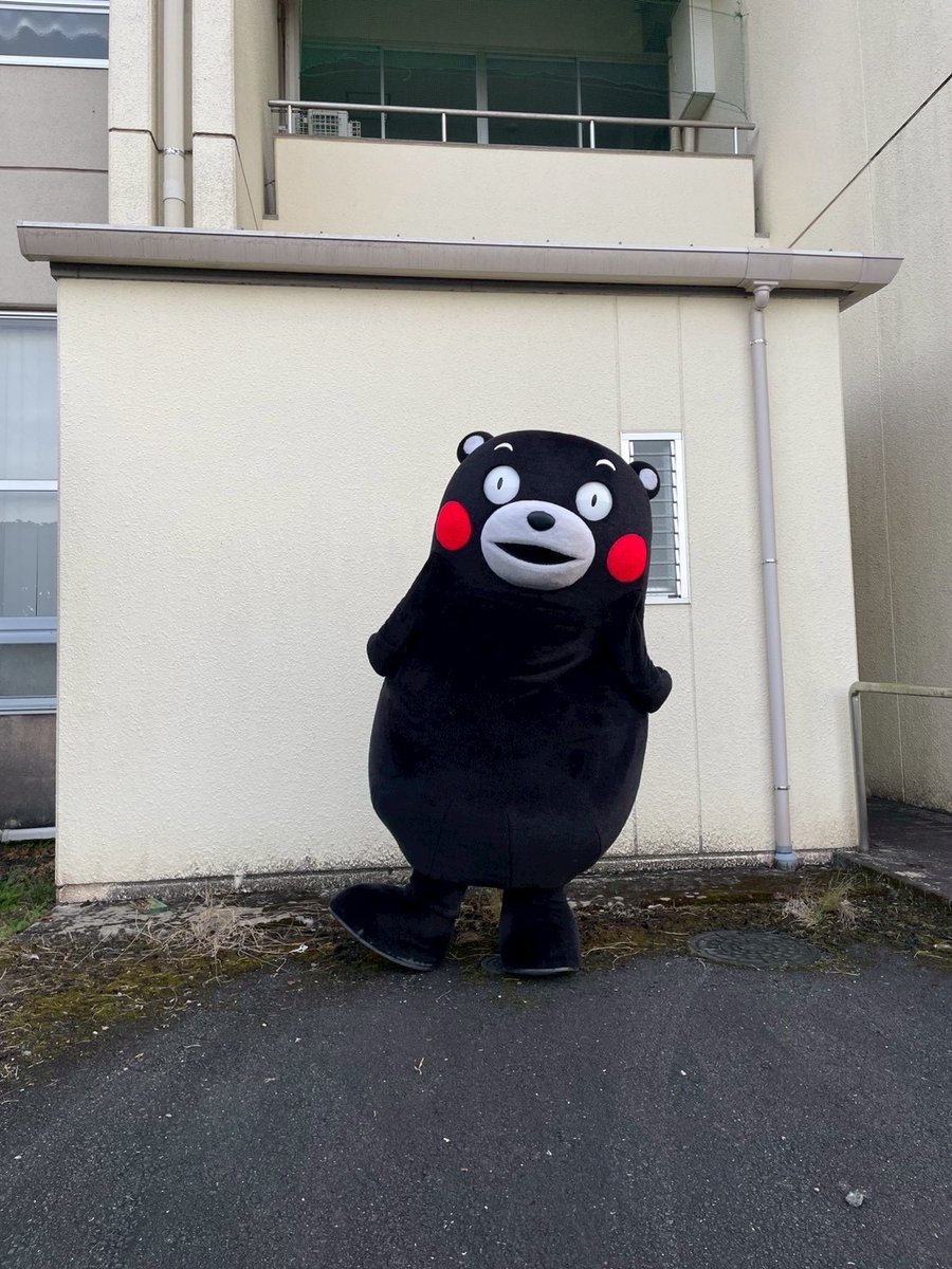 おはくま～！よーし、行くかモン☆