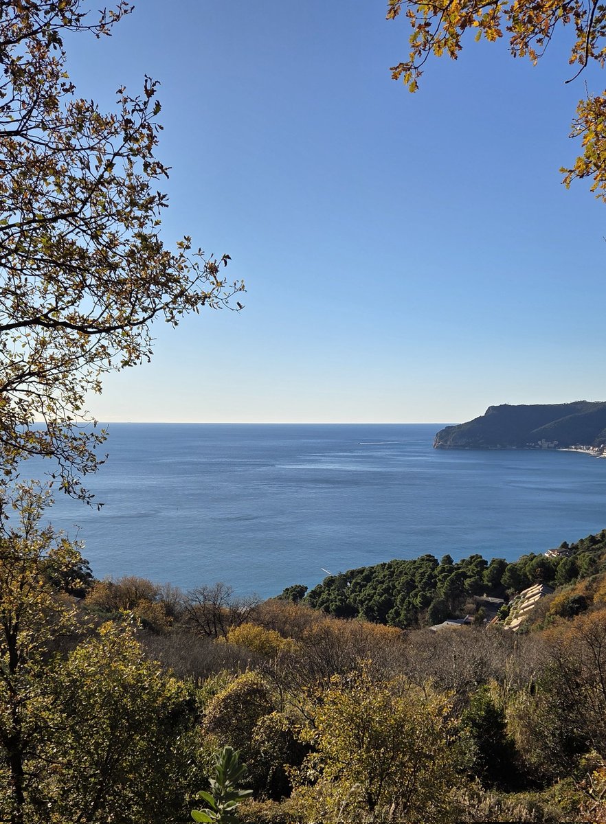 CappatoSimo's tweet image. Buongiorno, sereno Mercoledì  a tutti.🫠☕️🧇🥨🦋🌸🦋🌸🦋🌸🌷🌷🌷