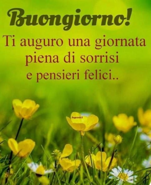 Marianna tweet media