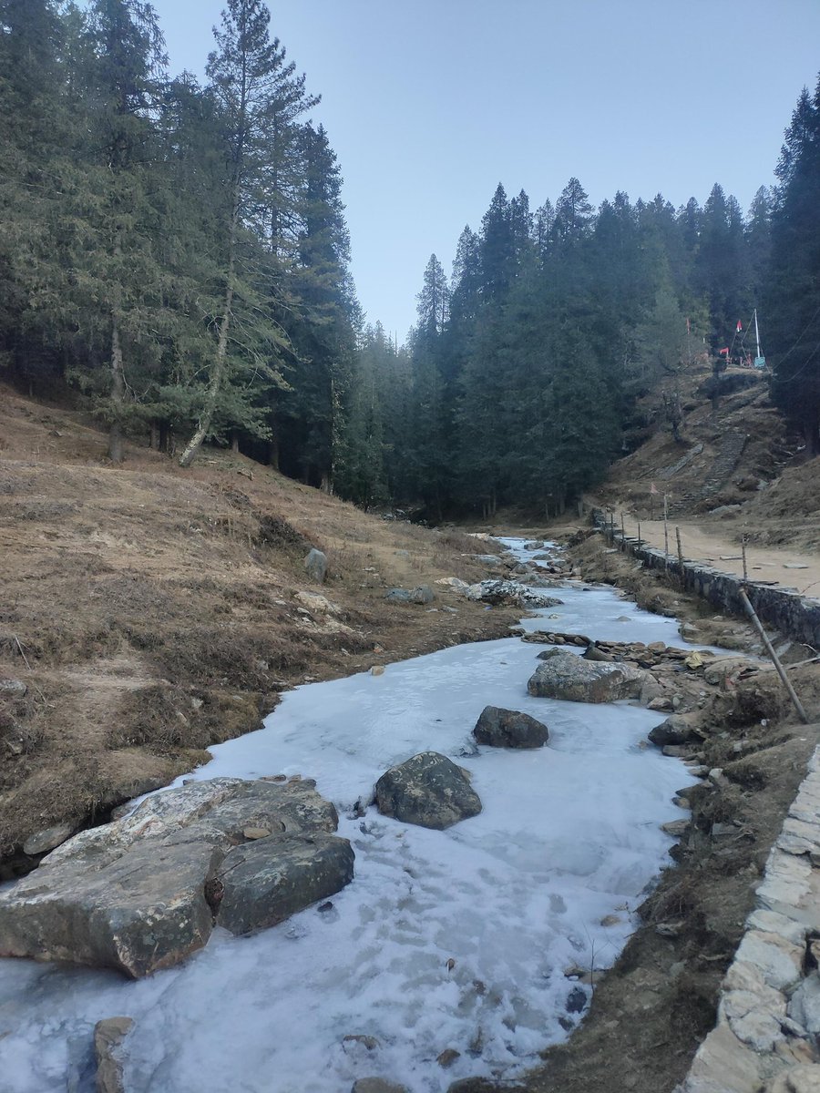 Nikhil saini tweet media