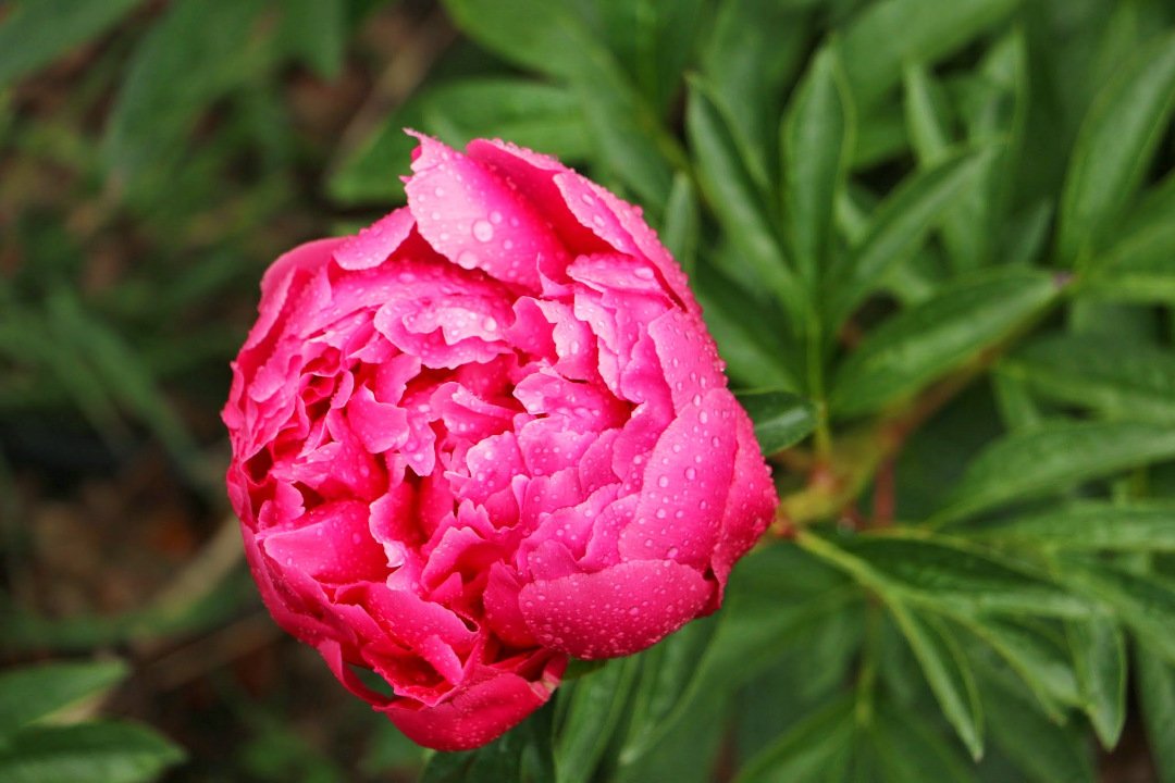 硅谷居士 tweet media