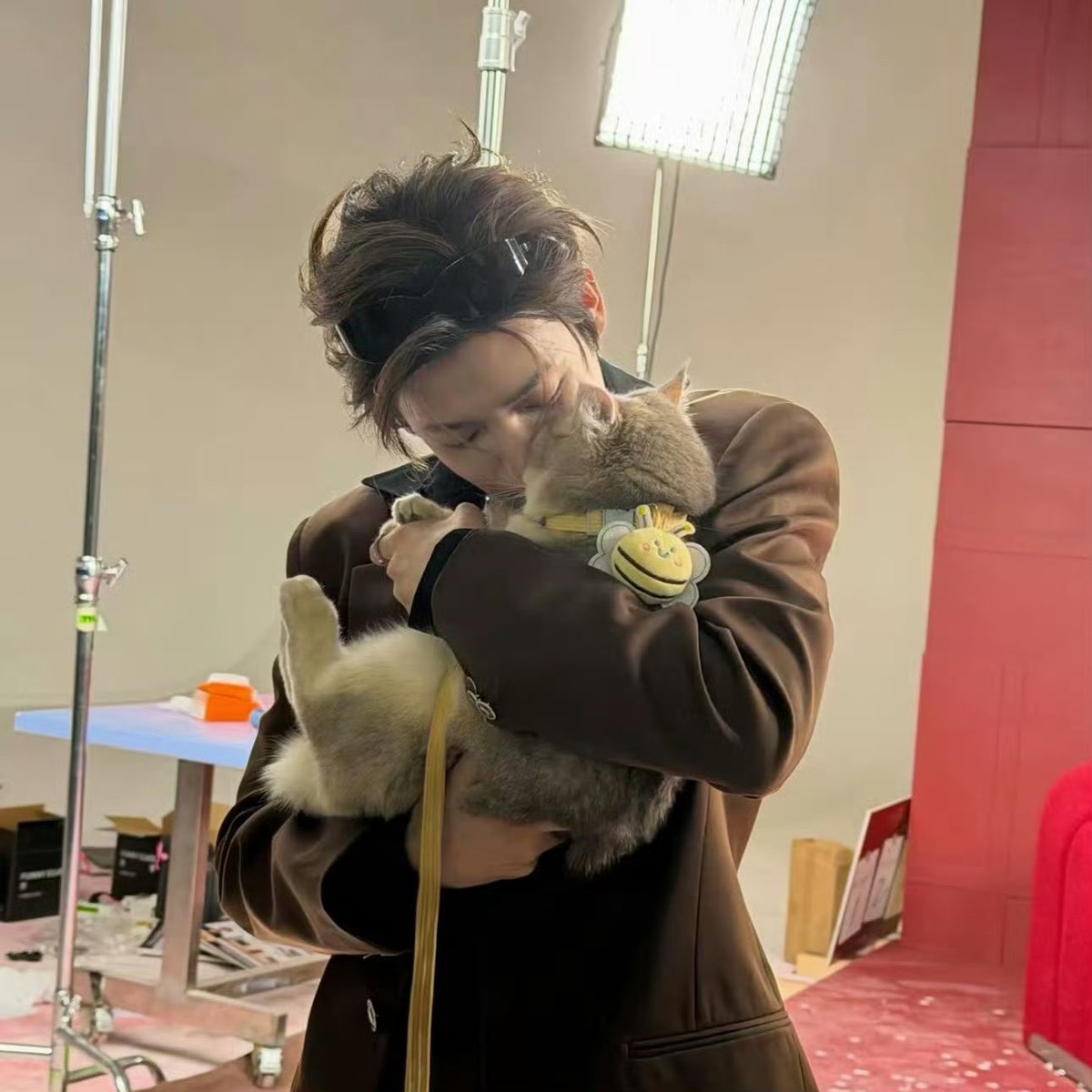 Ning Ning 🌻 tweet media