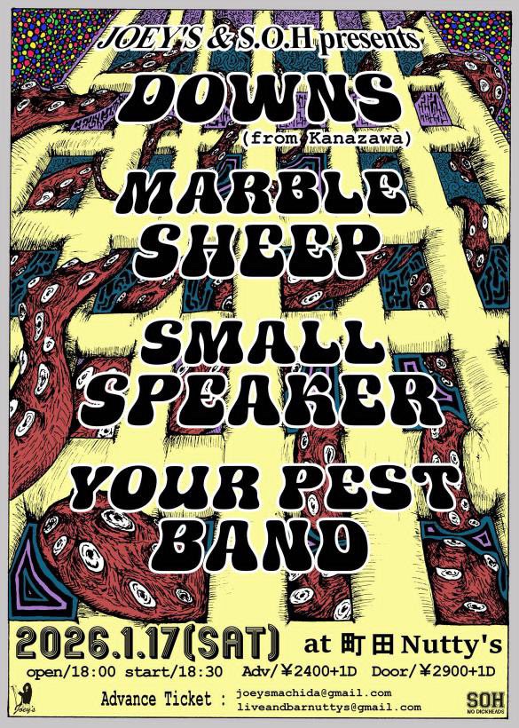 YOUR PEST BAND tweet media