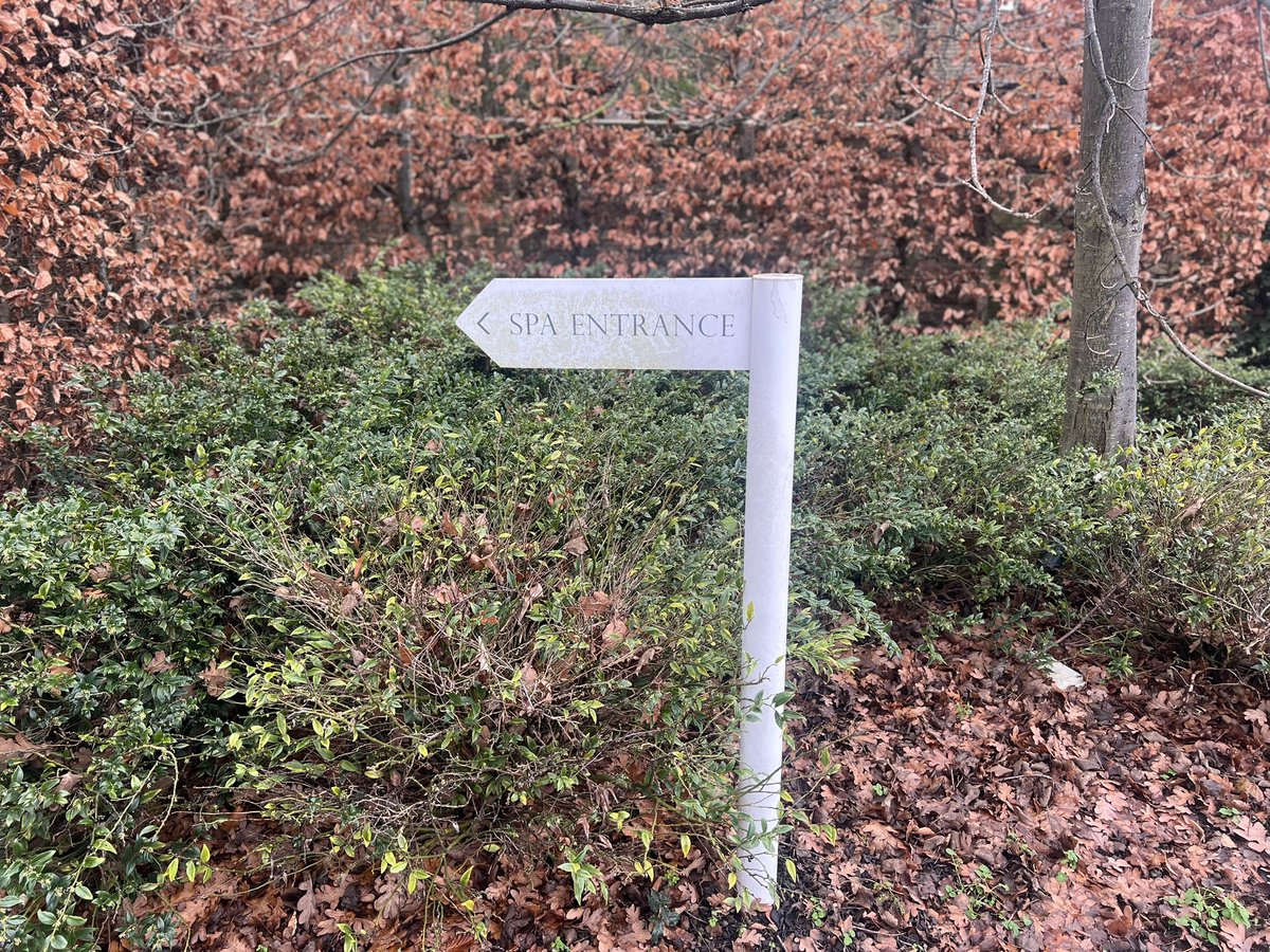 Holly Wilson tweet media