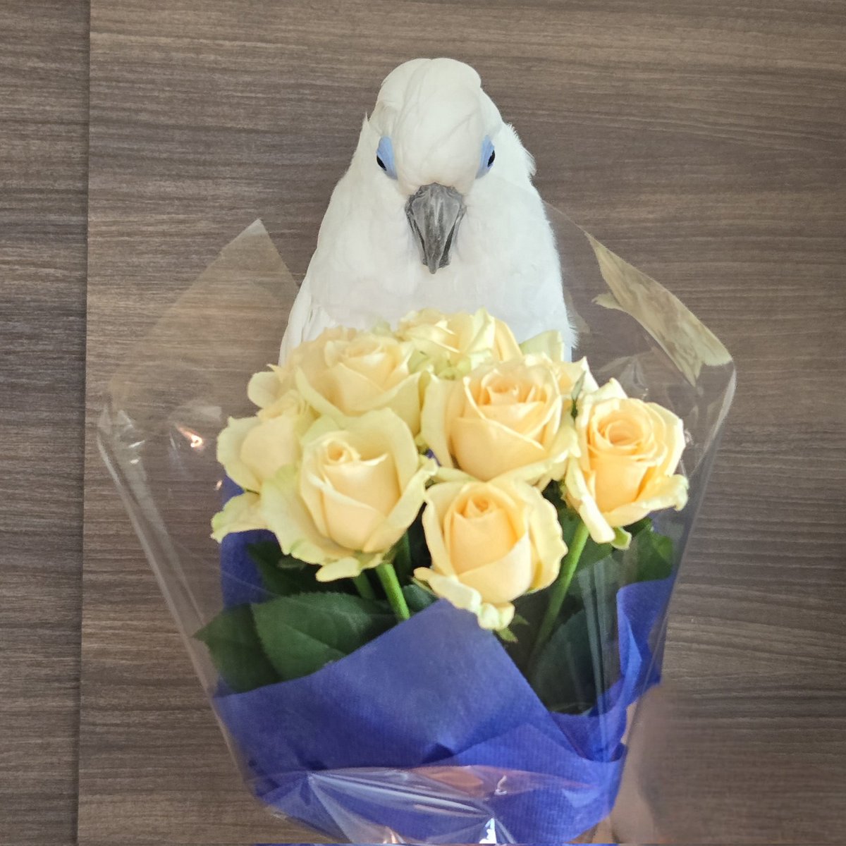 たるたる tweet media